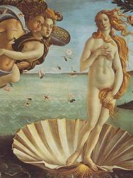 Botticelli's 'Birth of Venus'