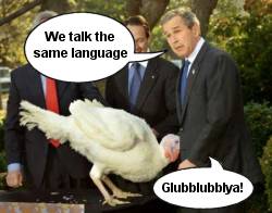 Bush & Turkey