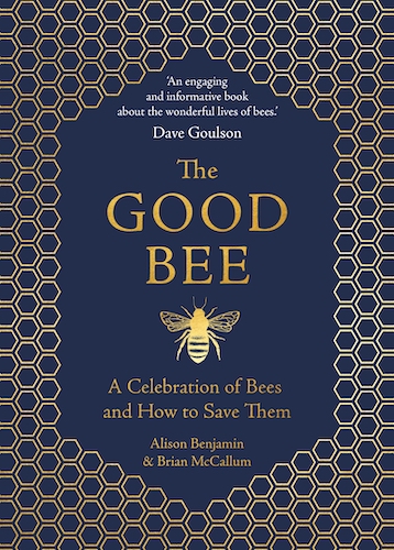 'The Good Bee' by Alison Benjamin & Brian McCallum
