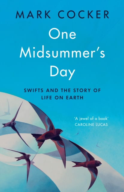 ‘One Midsummer’s Day’ by Mark Cocker