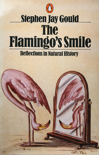 The Flamingo’s Smile