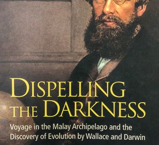 Dispelling the Darkness
