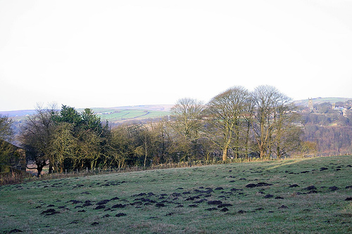 A mountain range of molehills