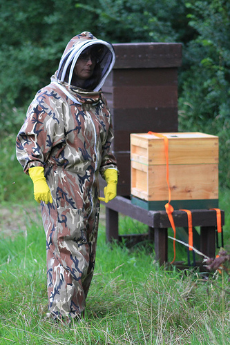Carolyn beekeeping